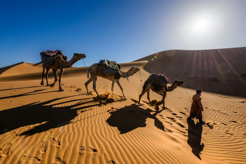 Forget Beaches: Why Deserts Are the New Hotspots for Digital Nomads